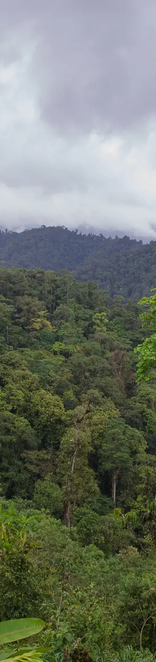 Von der Mount Totumas Cloud Forest Lodge aus die Natur erkunden
